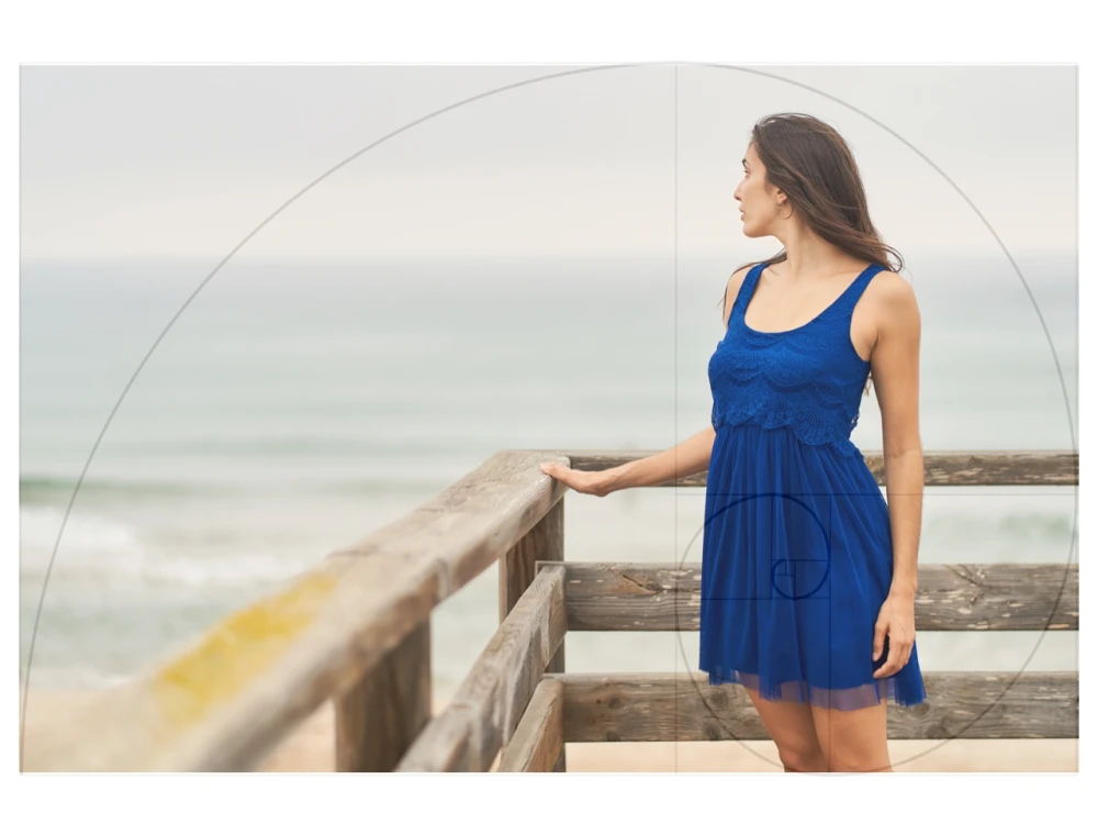 Phi: el código secreto de la belleza universal